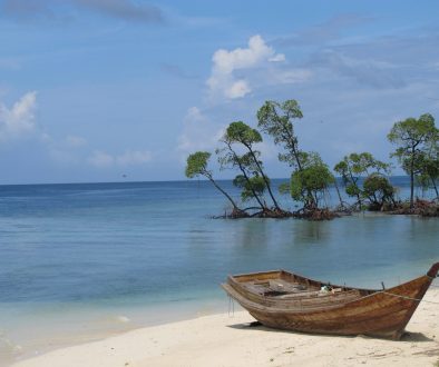 deepak-kumar-Zwa0f934c2M-unsplash (1)